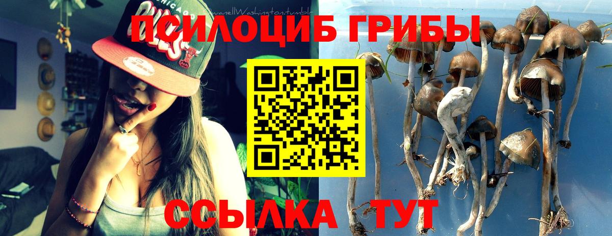 Галлюциногенные грибы GOLDEN TEACHER  Псилоцибиновые грибы ЛСД  Югорск  Вход с VPN 